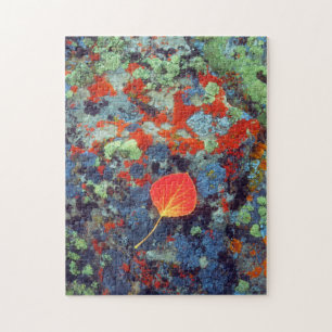 Puzzle Feuilles d'Aspen sur un rocher recouvert de lichen