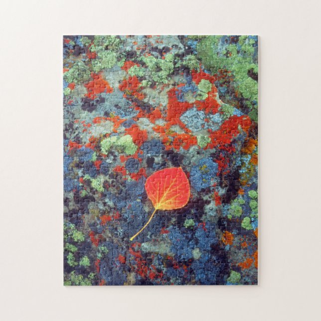 Puzzle Feuilles d'Aspen sur un rocher recouvert de lichen (Vertical)