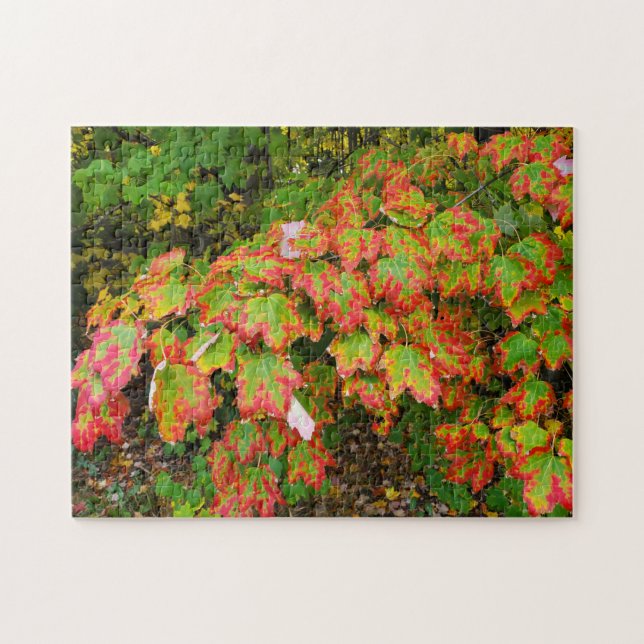 Puzzle Feuilles d'automne (Horizontal)