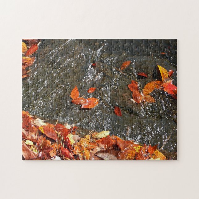 Puzzle Feuilles d'automne dans la cascade I Photographie  (Horizontal)