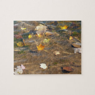 Puzzle Feuilles d'automne dans l'étang de l'eau Photograp