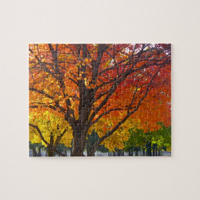 Puzzle Feuilles d'automne de la photo jaune et orange (Horizontal)