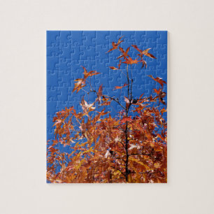 Puzzle Feuilles d'érable