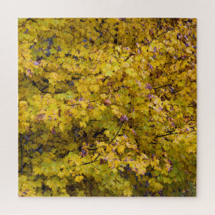Puzzle Feuilles d'or de l'automne - 20x20 pouces