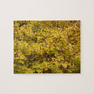 Puzzle Feuilles d'or de l'automne - 8x10 pouces