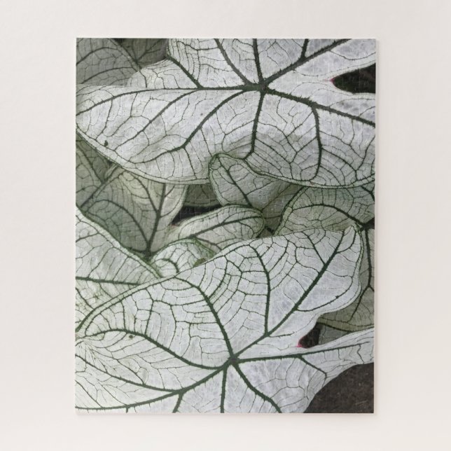 Puzzle Feuilles du Caladium blanc vert (Vertical)