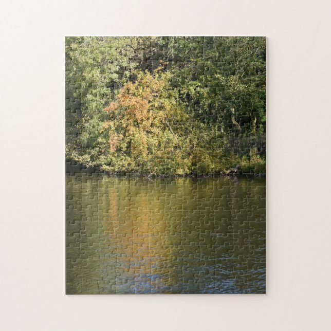 Puzzle Feuilles et arbres d'automne Regent's Park London  (Vertical)