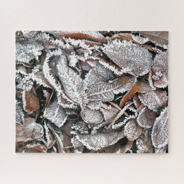 PUZZLE FEUILLES HIVER (Horizontal)