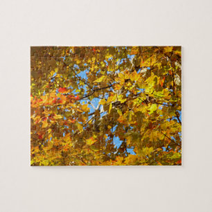 Puzzle Feuilles Jaunes d'Érable et Ciel Bleu