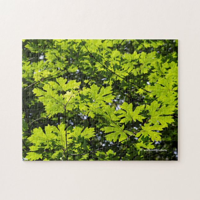 Puzzle Feuilles Mouchetées de Soleil dans la Forêt (Horizontal)