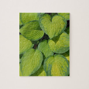 Puzzle Feuilles plantes de printemps vert