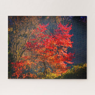 Puzzle Feuilles rouges