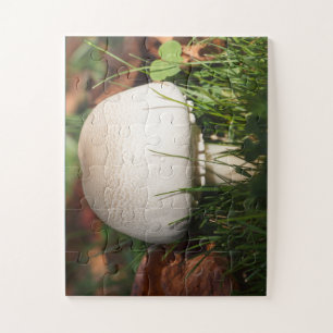 Puzzle Field mushroom in a forest
