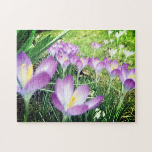 Puzzle Field of Purple Spring Flowers Crocus Flower Lilac
