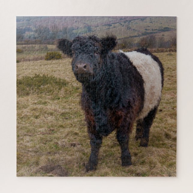 Puzzle Fier debout de la ceinture Galloway sur Dartmoor F (Vertical)