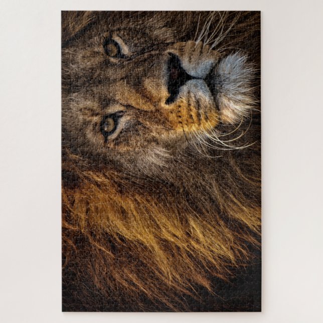 Puzzle Fierce Proud Lion Predator Dangerous Mane Big Cat (Vertical)