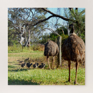Puzzle Fiers Parents Emu Avec Des Poussins,