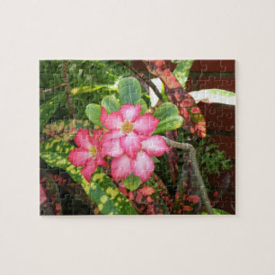 Puzzle Fiesta tropicale de fleur - rose vif
