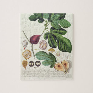 Puzzle Figue, gravée par 1704-67) plats de Johann Jakob