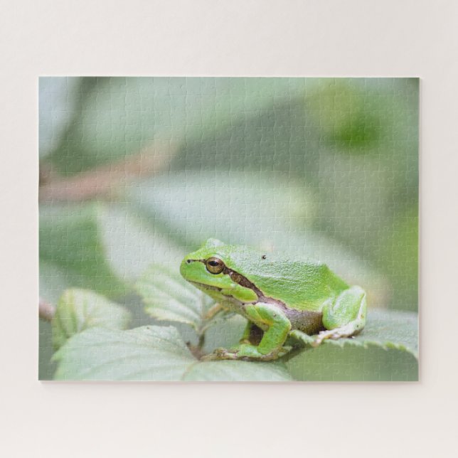Puzzle Fin européenne verte de grenouille d'arbre (Horizontal)