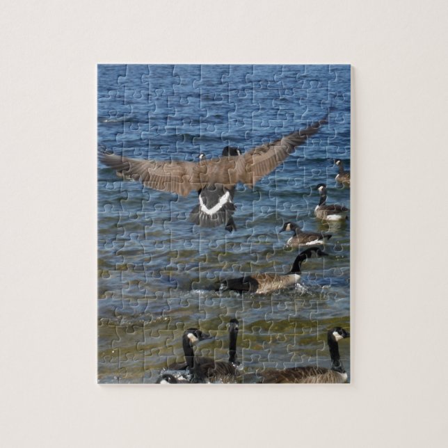 Puzzle First goose to fly, geese on lake Arrowhead (Vertical)