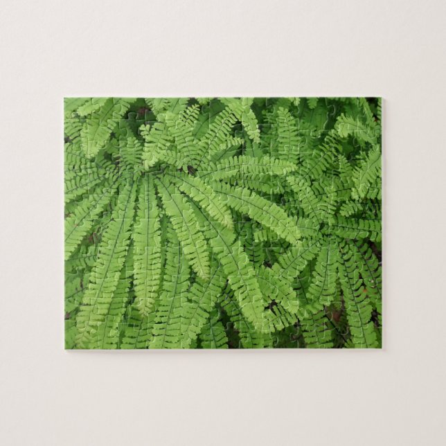 Puzzle Five Finger Maidenhair Fern (Horizontal)