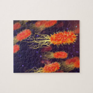 Puzzle Flagelles de bactéries