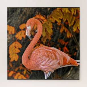 Puzzle Flamant, de près et magnifique