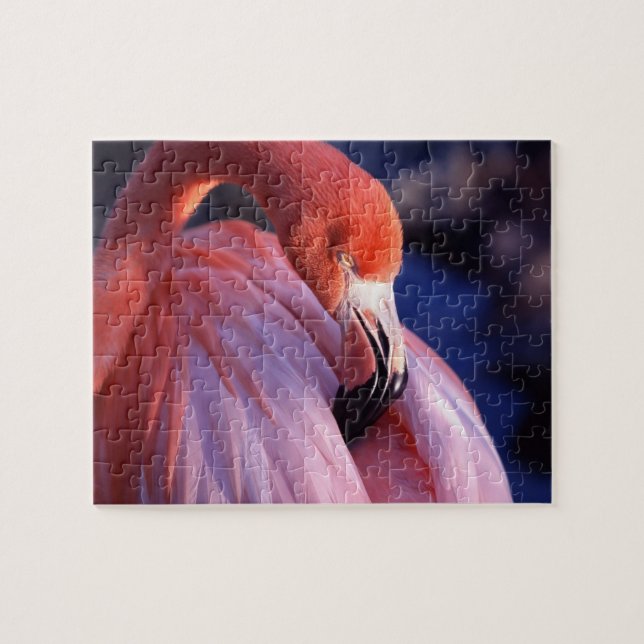 Puzzle Flamant rose (Horizontal)