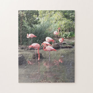 Puzzle Flamant rose