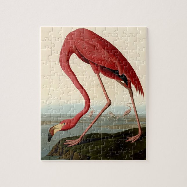 Puzzle Flamant rose américain Audubon (Vertical)