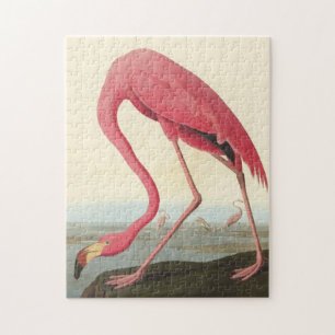 Puzzle Flamant rose américain ~ John James Audubon 11 x 1