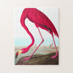 Puzzle Flamant rose américain par John James Audubon