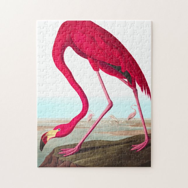 Puzzle Flamant rose américain par John James Audubon (Vertical)