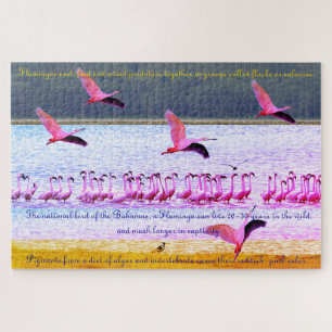 Puzzle Flamant rose Amusant 20 po x 30 po - 1 014 pièce