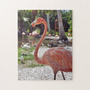 Puzzle Flamant rose rose