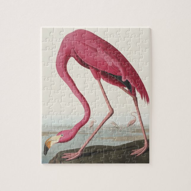 Puzzle Flamant rose rose des oiseaux d'Amérique (Vertical)