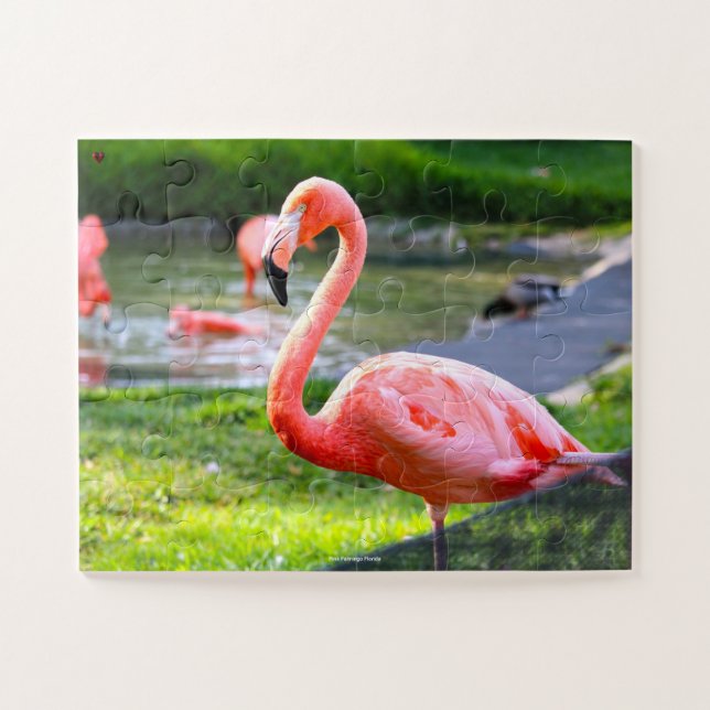 Puzzle Flamant rose rose Floride. (Horizontal)