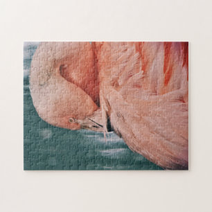 Puzzle Flamant rose rose Prenez un casse-tête