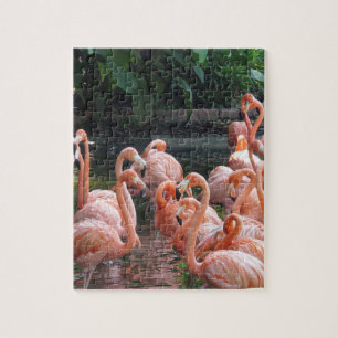 Puzzle Flamants roses exotiques