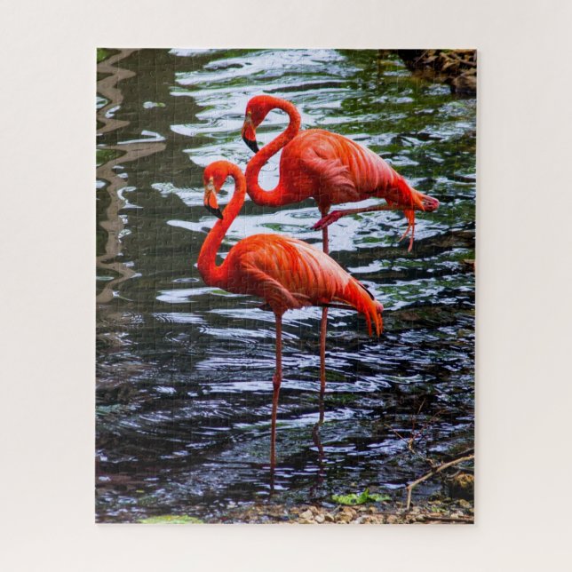 Puzzle Flamants roses roses dans l'eau (Vertical)