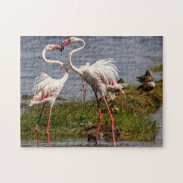 Puzzle Flamngos roses. (Horizontal)