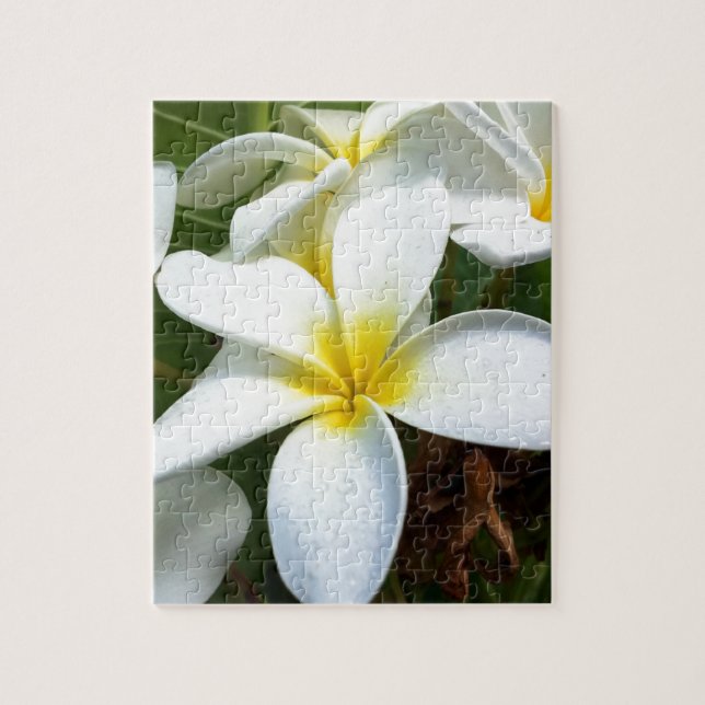 Puzzle Fleur blanche de Plumeria d'Hawaï (Vertical)