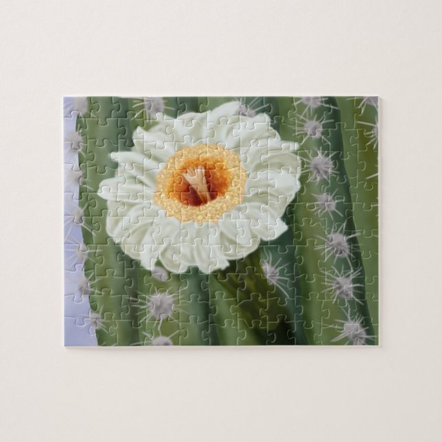 Puzzle Fleur blanche Saguaro Cactus illustrée (Horizontal)