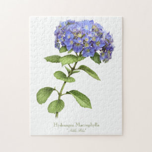 Puzzle Fleur Blue Hydrangea