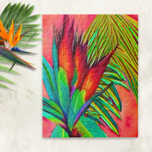 Fleur colorée de l'oiseau de paradis