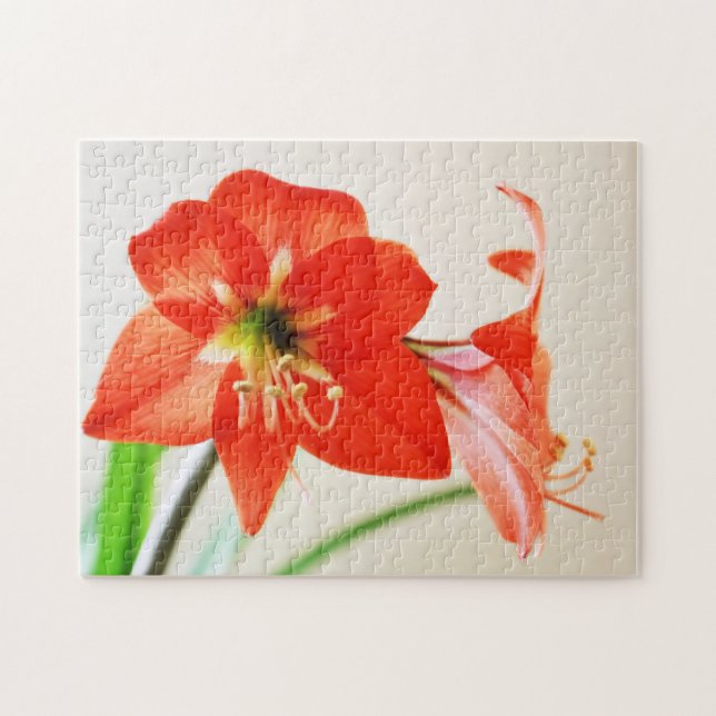 Puzzle Fleur d'Amaryllis rouge (Horizontal)