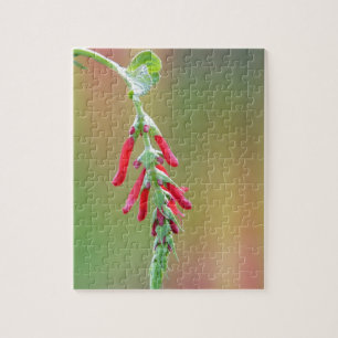 Puzzle Fleur d'ananas