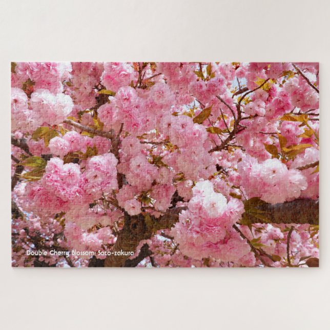 Puzzle Fleur de cerise double : Sato-zakura (Horizontal)