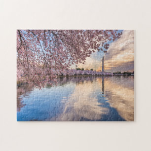 Puzzle Fleur de cerisier de Washington D.C